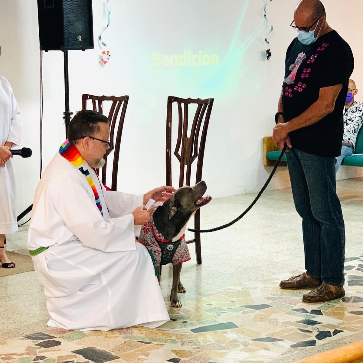 ilmisionera's tweet photo. Imágenes del Servicio Dominical que incluyó la bendición de mascotas y plegarias hermosas por la Mayordomía de la Creación. Todos somos parte de la #creacion de #Dios #IglesiaLuterana https://t.co/VkrTXDzu5P