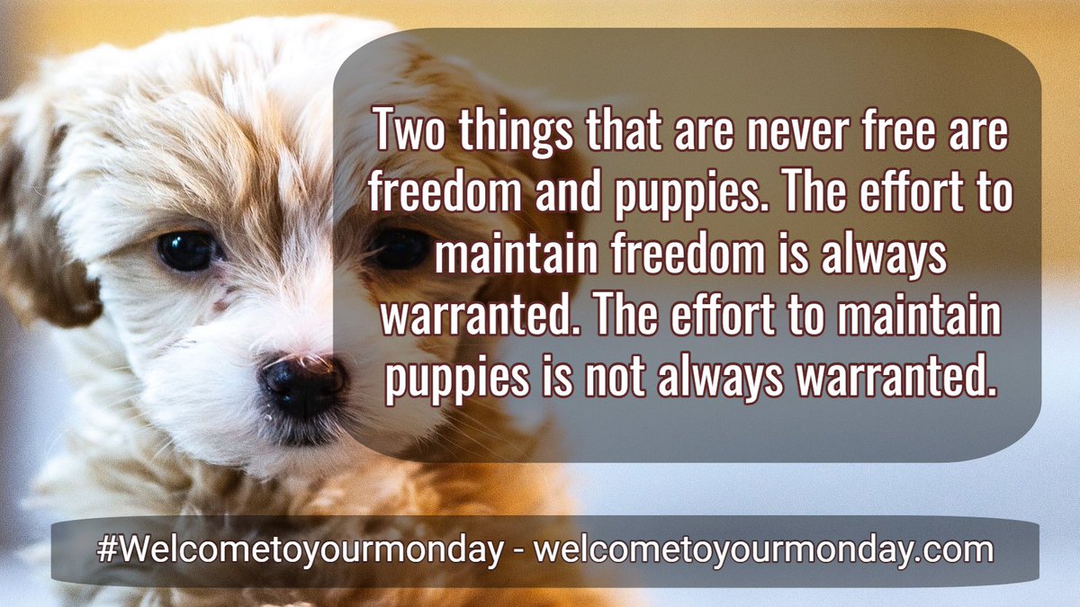 WTYMonday's tweet photo. Monday Message For 10/04/2021

Two things that are never free are freedom and puppies. The effort to maintain freedom is always warranted. The effort to maintain puppies is not always warranted.  

Find more at https://t.co/KBK8WmMCrp https://t.co/xwL72gmL8T