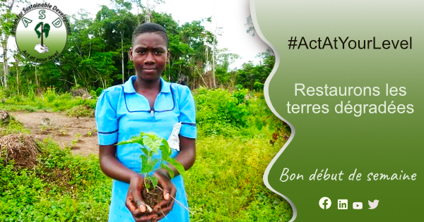 ASDCAMEROUN tweet media