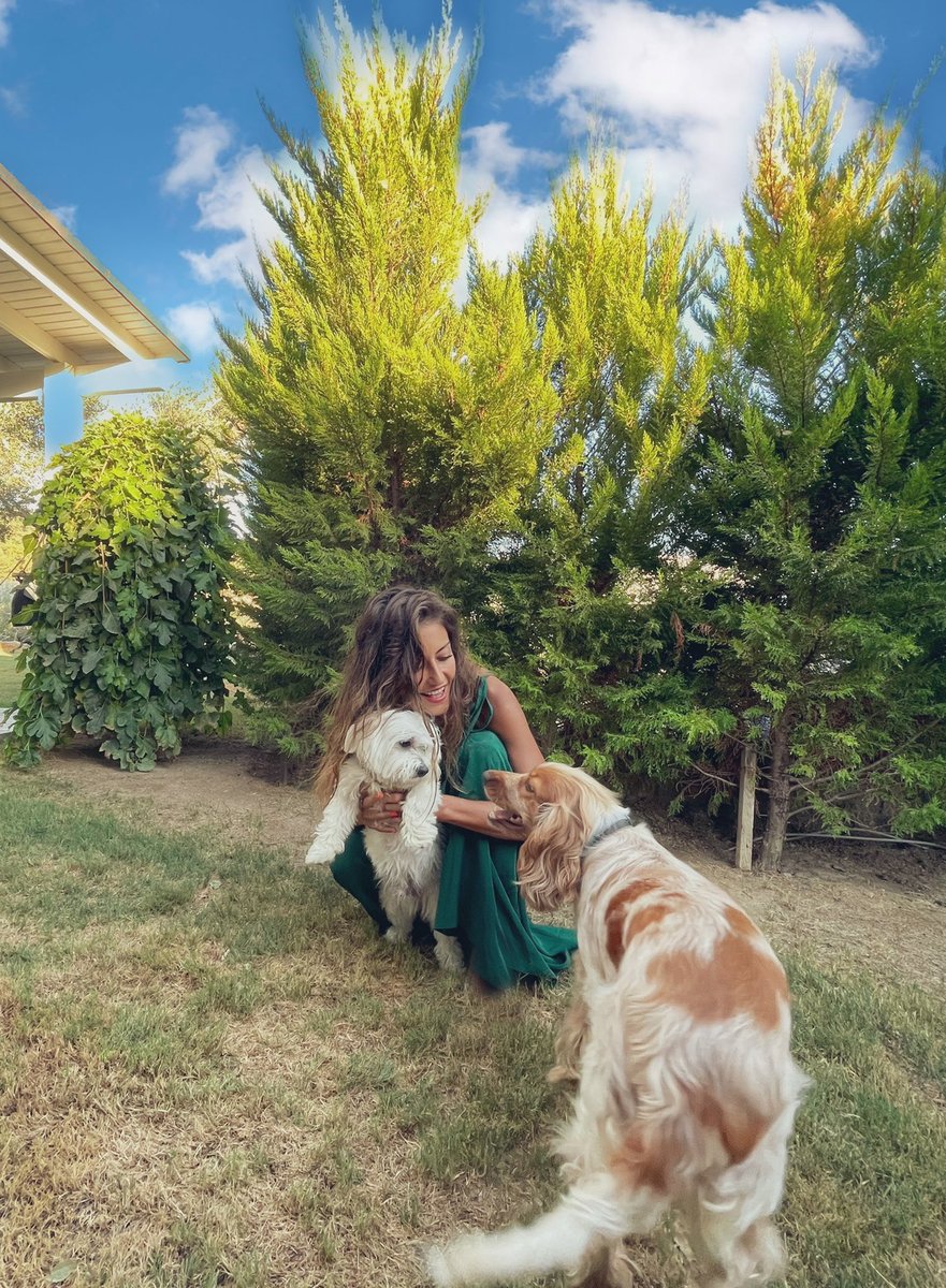 #HayvanlarıKorumaGunu  çok kalp❤️