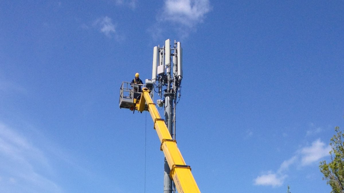 Warren Access tweet media