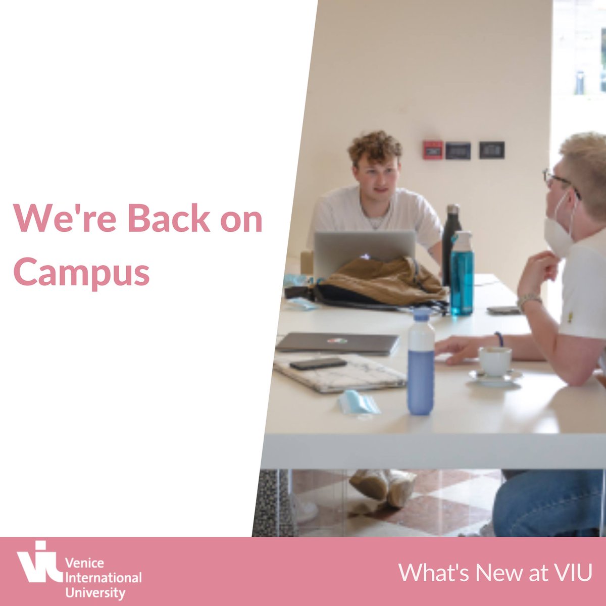 Venice International University tweet media