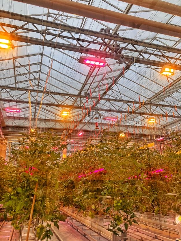 VTISintLucas's tweet photo. In functie van hun project 'Eigen Kweek' bezocht 2STEM Agrotopia in Roeselare. Een leerrijke dag in een héél mooi kader! @InAgrotopia @provinciewvl @viveshogeschool @howest #vtimenen @galle_bert @F_Wylin https://t.co/48ygdbL9oP