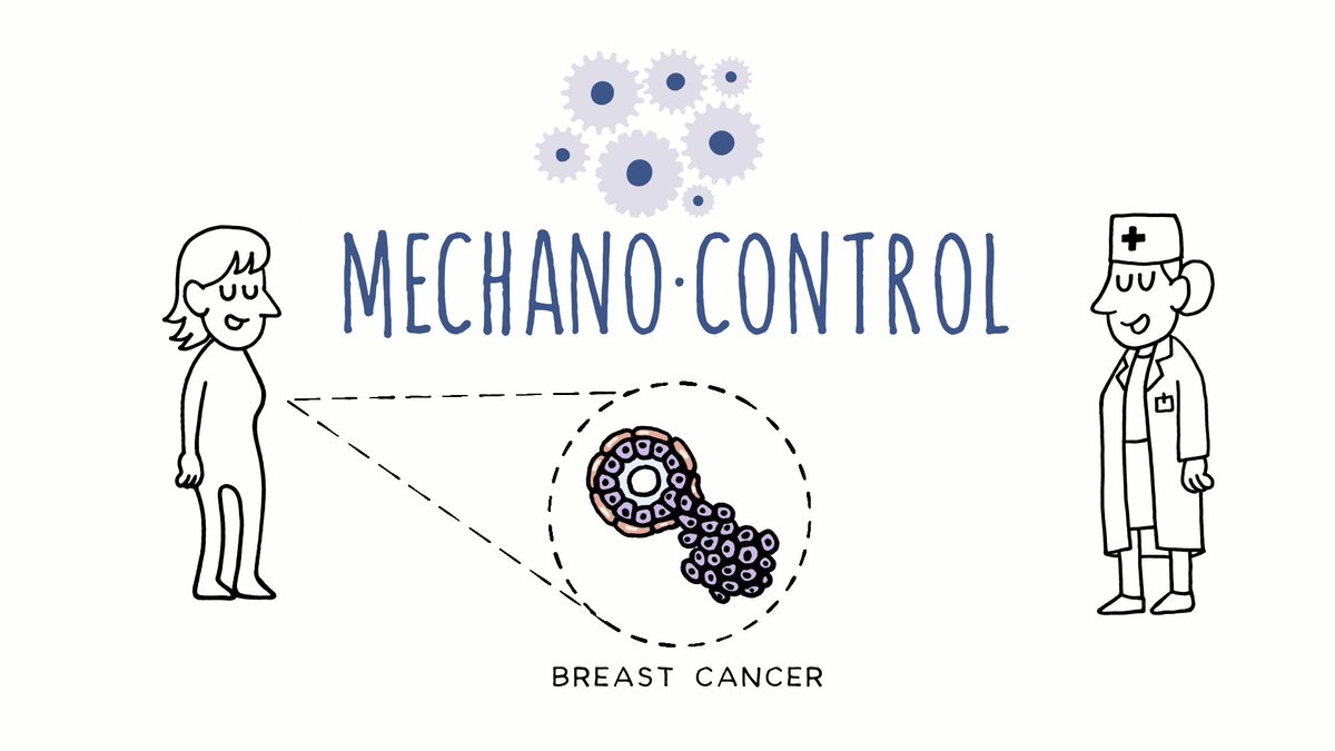 Mechanocontrol's tweet photo. This month is dedicated to #BreastCancerAwareness and the #Mechanocontrol members are focusing their research on the mechanical control of the biological function with the aim to abrogate breast #tumour progression read in this thread the stories and faces behind this project!⬇️ https://t.co/n40PiJsAjJ