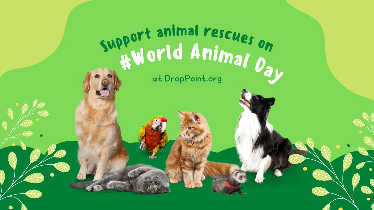 DropPointHQ's tweet image. Today we are celebrating #WorlAnimalDay! You can find a variety of rescues &amp;amp; shelters on our platform to support #cats, #dogs, #hedgehogs and others through #giftinkind #donations of food, toys, blankets and other. Animal #rescues &amp;amp; shelters are welcome to join our directory.