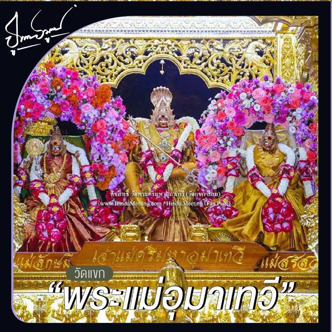 pujaamulets's tweet photo. “ 3 สถานที่ ขอพรความรักปัง ”

เราจะนกเป็นครั้งสุดท้าย
ครั้งนี้หญิงมาแนะนำ 3 สถานที่
มีที่ไหนบ้าง สายมูต้องดู !

1.พระตรีมูรติ หน้าห้างสรรพสินค้าเซ็นทรัลเวิลด์
2.พระกฤษณะและนางราธาเทวี วัดมณเฑียร
3.พระแม่อุมาเทวี วัดแขก

ไม่ได้ด้วยเลห์ ก็เอาด้วยกล
ไม่ได้ด้วยมนต์ ก็เอาด้วยคาถา https://t.co/BzoMgeu1Js
