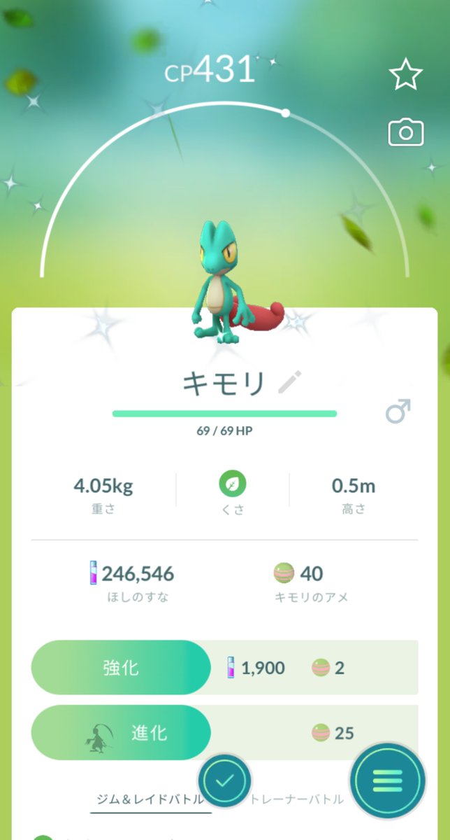 ポケモンgo キモリの色違い 入手方法と実装状況 攻略大百科 ポケモンgo キモリの色違い 入手方法と実装状況 攻略大百科