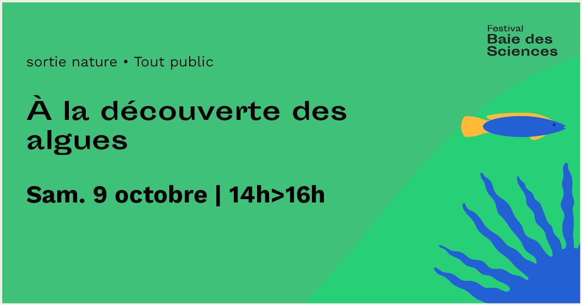 📍SORTIE NATURE - A la découverte des algues 
➡️ RDV à la Grève de l'Isnain à <a href="/SQPx_ville/">Ville de Saint-Quay-Portrieux</a> apprendre à les différencier, à les reconnaître et à les étudier en constituant votre propre alguier.#baiedessciences
Avec <a href="/Algues_Ceva/">CEVA</a> 
➡️ Samedi 9 octobre de 14h à 16h 
#Science