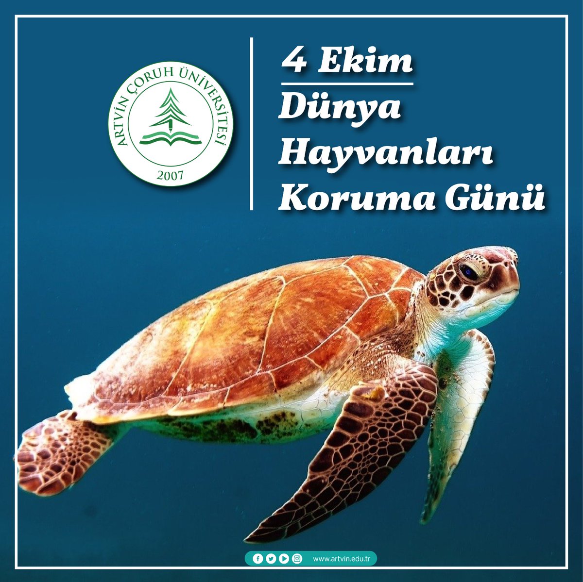 ArtvinCoruhUnv's tweet photo. 🌲"Dünya hepimizin, hep birlikte mutlu olabiliriz🐾"
🌲"Everyone will be happy if you help us 🐾"
#AÇÜ #artvinçoruhüniversitesi #artvincoruhuniversity #greenuniversity #dünyahayvanlarıkorumagünü #animalprotectionday https://t.co/YjCziBWsds