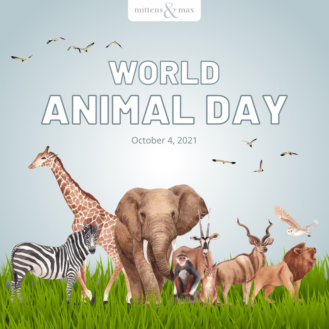 MittensAndMax's tweet photo. Today is #WorldAnimalDay! Animals have known how to run the planet earth in harmony from thousands of years. So lets’ stop driving them into extinction.

Let’s be KIND to ALL animals! Happy World Animal Day! https://t.co/zEPJAxSXbN
