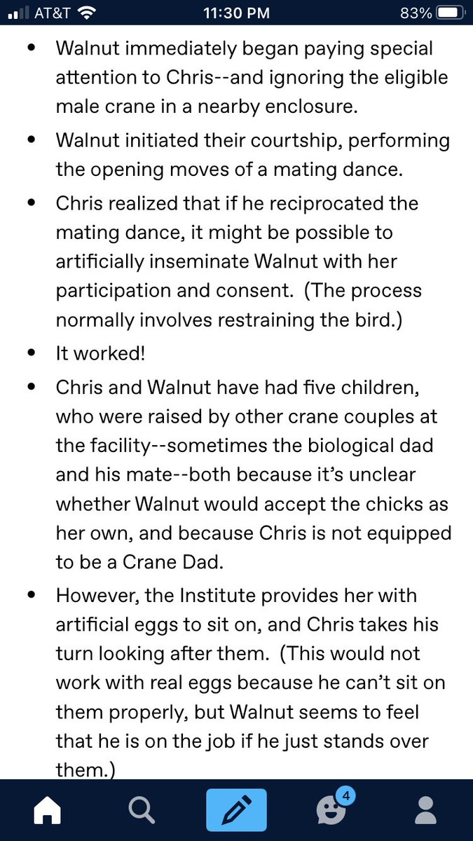 litzabronwyn's tweet photo. retweeting the bird story in order to add alt text https://t.co/M71Etkxza0