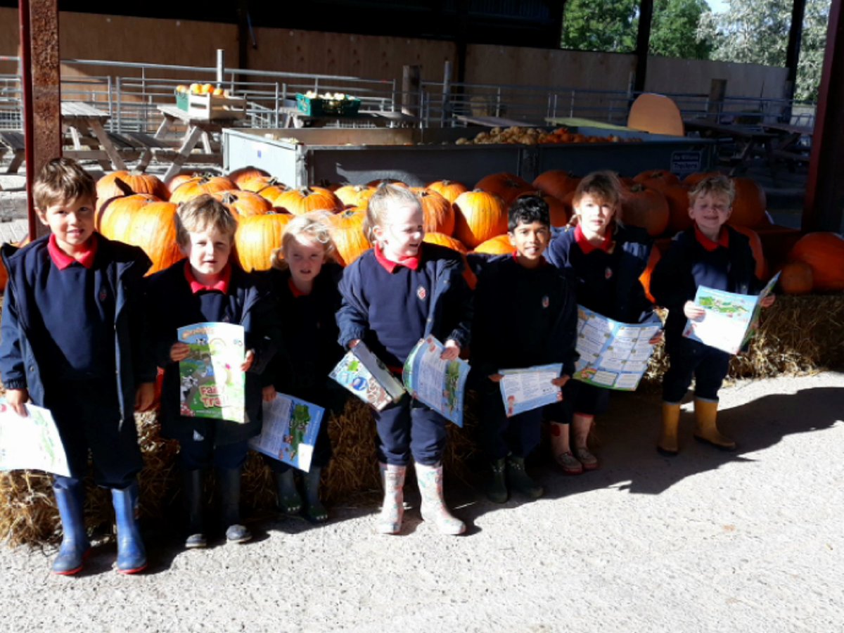 King's St Alban's tweet media