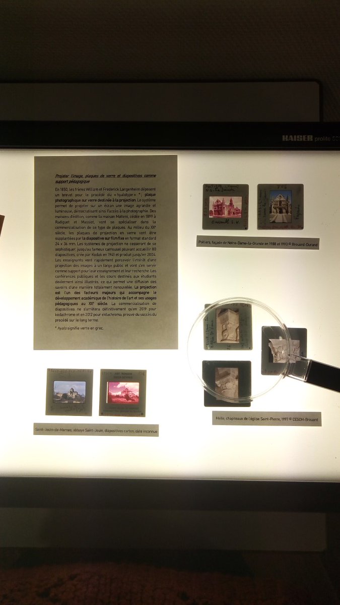 Nouvelle exposition au pôle documentaire du CESCM "Photographier le patrimoine médiéval, du XIXe siècle à aujourd'hui".

En place jusqu'au 5 janvier!

#MedievalArt #photography #Patrimoine