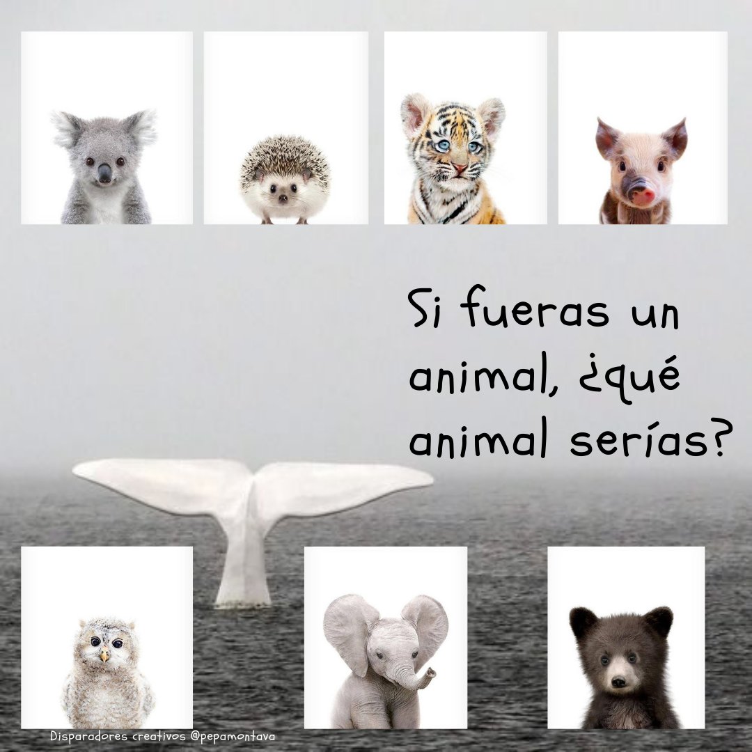 PepaMontava's tweet photo. Hoy #DíaInternacionaldelosanimales, un clásico para empezar en la #clasedeELE. #disparadorescreativos #ideasELE #ELEideas https://t.co/Ad8PnMAqN5