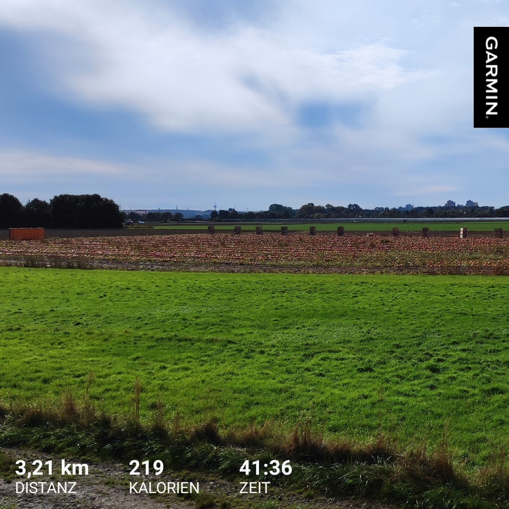 Dirk_Pick's tweet photo. Pausenrunde mit Podcast Danke @unserweg  @uwehauck @bicyclist https://t.co/Bnc1LDaIe5