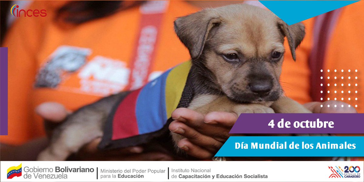 IncesTrujillo1's tweet photo. El #4Oct, ha sido instituido para la celebración del Día Mundial del Animal en conmemoración del Santo Francisco de Asís, considerado como el primer humano que se concibió a sí mismo en relación con todas las cosas creadas. https://t.co/RUAw0lIeby