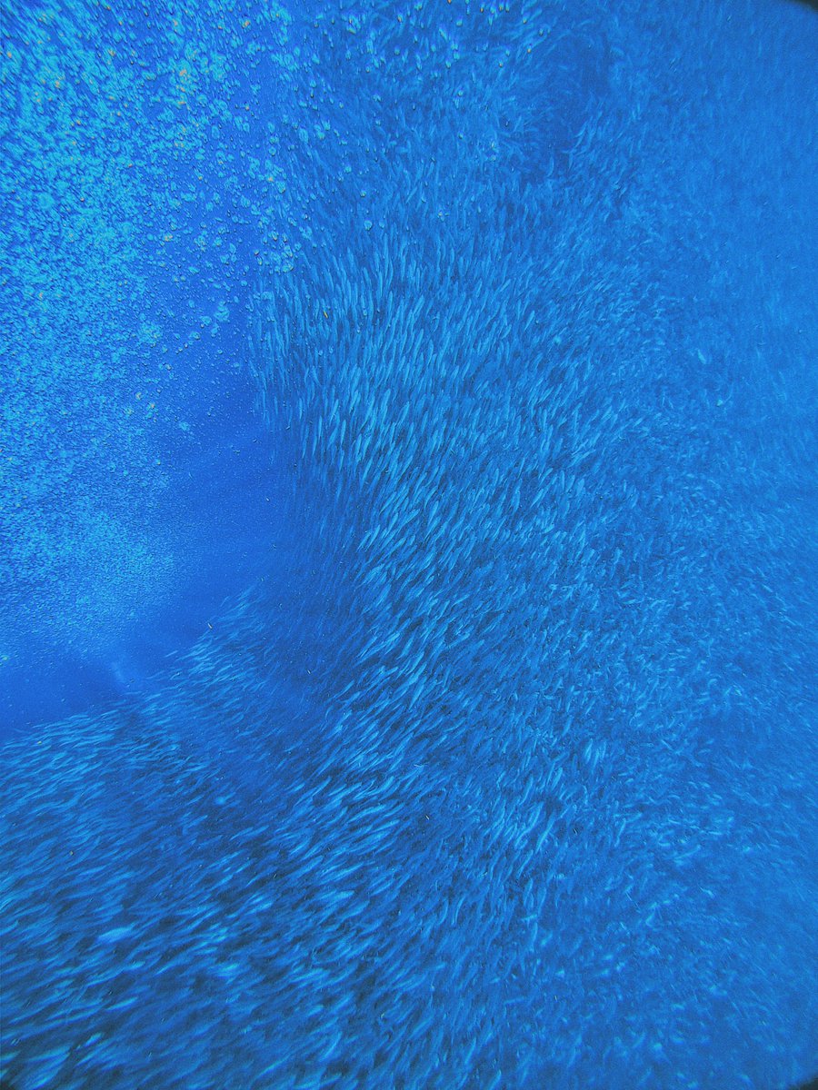 _travelkim's tweet image. 방금 뉴스를 보는데, 달에 간 사람은 12명이지만 바닷속 1만m를 내려가본 사람은 단 4명뿐이며 우리는 어쩌면 화성의 표면보다도 우리의 바다를 제대로 알지 못하고 있을지도 모른다고. 이런 걸 볼 때마다 어쩌면 익숙함이라는 미명 아래 생각보다 중요한 걸 잊고 있진 않나 싶은 생각이 든다.