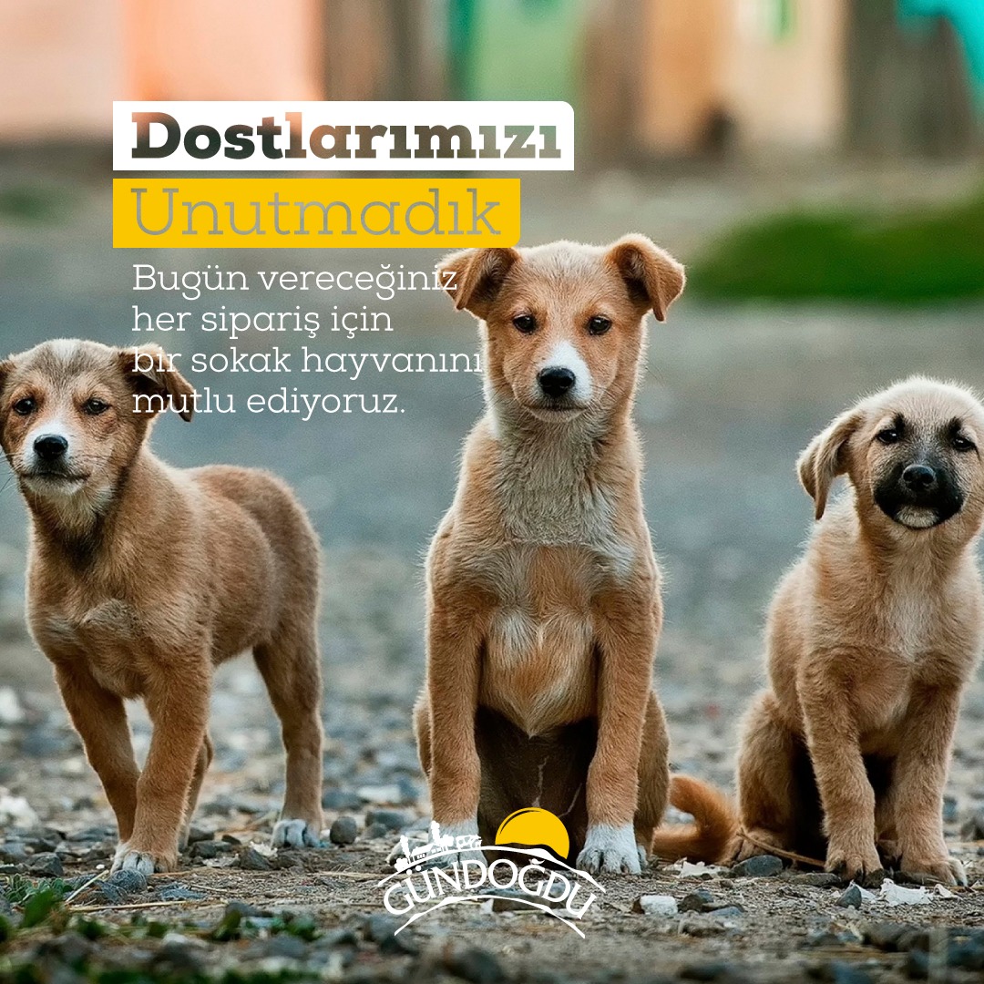 Dostlarımızı unutmadık! Bugün vereceğiniz her sipariş için bir sokak hayvanını mutlu ediyoruz.💛
lezzetarayanlara.com

#GündoğduGıda #DünyaHayvanlarıKorumaGünü