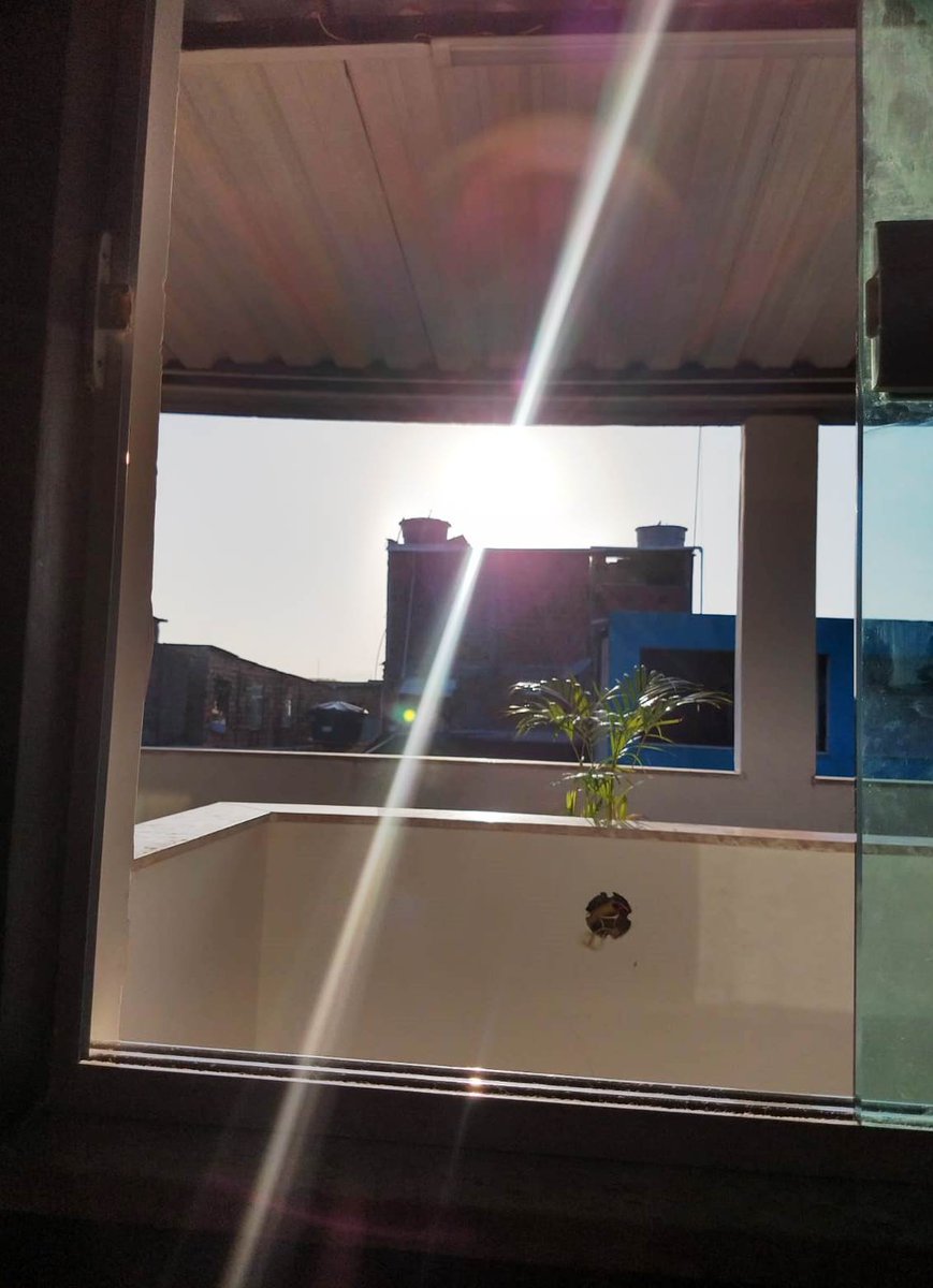 AzevedoGCMS's tweet photo. Quando o sol bater
Na janela do teu quarto
Lembra e vê
Que o caminho é um só
O sol nasce pra todos
Só não sabe quem não quer https://t.co/ZGGyc9u9eS