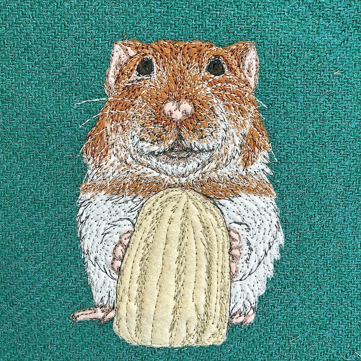 What's a hamster's favourite elevenses snack? 
Banana! #Elevenseshour ow.ly/KNFm50GldLR