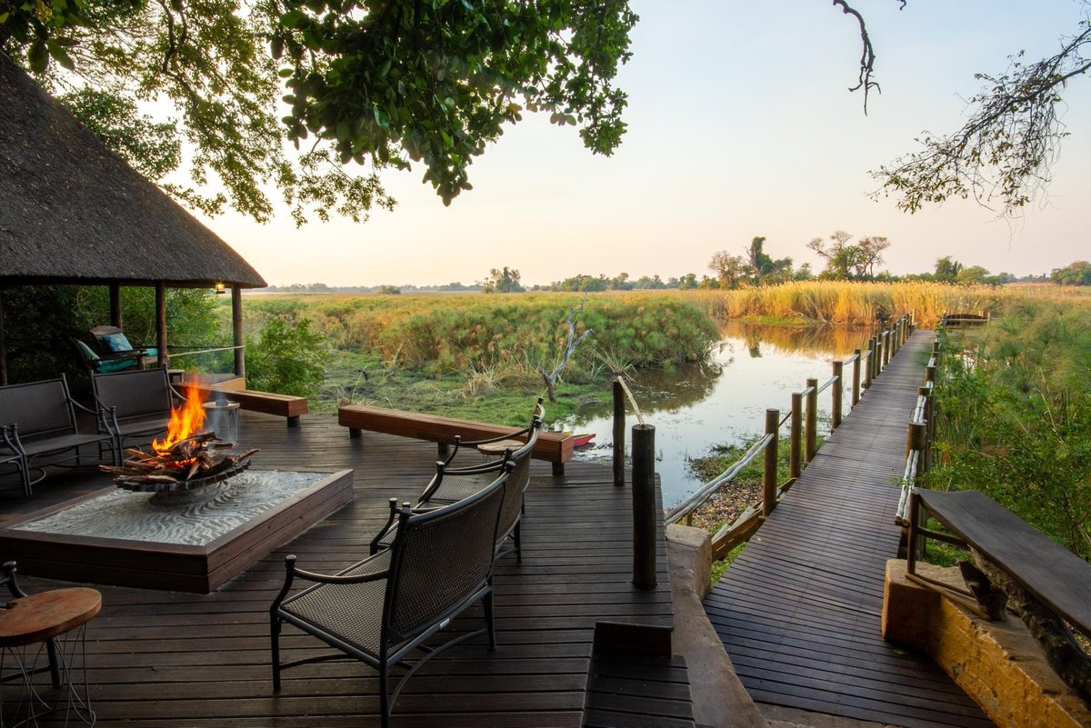 Desert & Delta Safaris tweet media