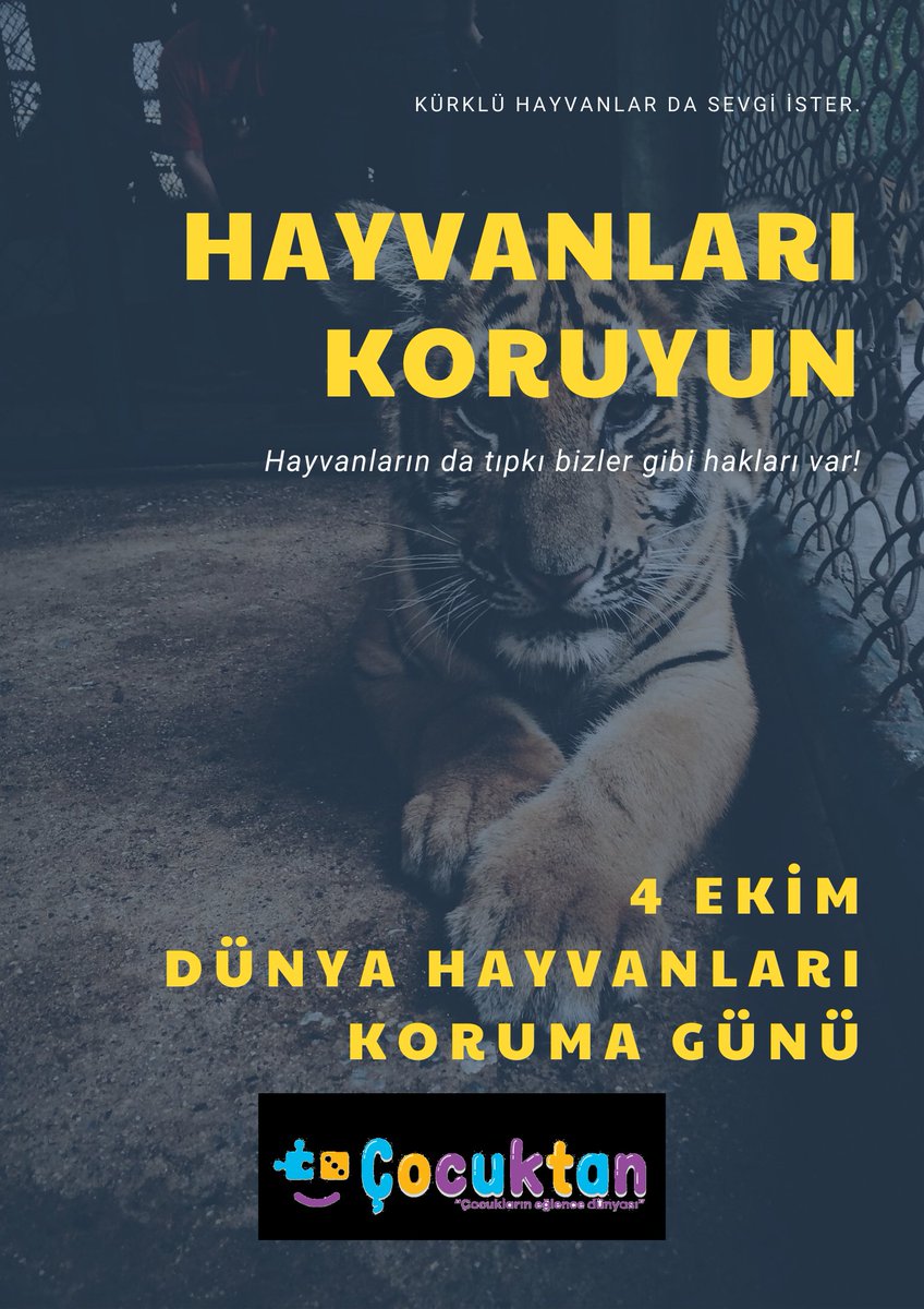 #4 #4ekim #pazartesi #iyihaftalar #dünyahayvanlarıkorumagünü #monday #mondaymood #animals #animalslove