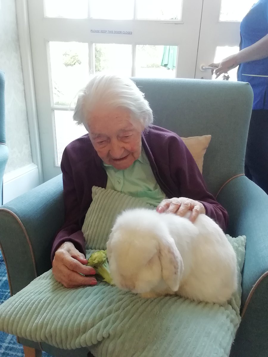 LindemannCareEd's tweet photo. We’ve had some very different visitors lately. From turtles to rabbits & hedgehogs, we’re now working with #scottishbusiness Eden’s Garden to let all our residents experience the joy of #pettherapy🐇#itsgoodtosmile #edinburghcarehomes #lindemannhealthcare #colinton #EDINBURGH https://t.co/wXsUsLC1ud