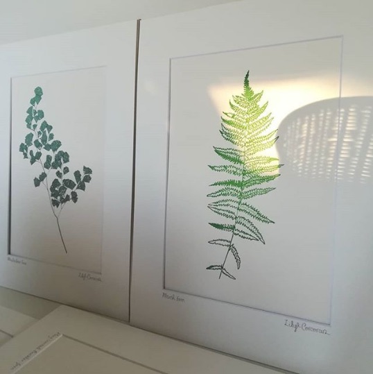 PetaltoPetal's tweet photo. I have only one of each of these fern prints left in stock 🌿https://t.co/0xzSTRv1MV @DCCIreland #madelocal #lovemadelocal #irishmade #madeinireland #archivalprint #fernprint #irishferns #greens #illustration #petaltopetal https://t.co/fr6cILeFzG