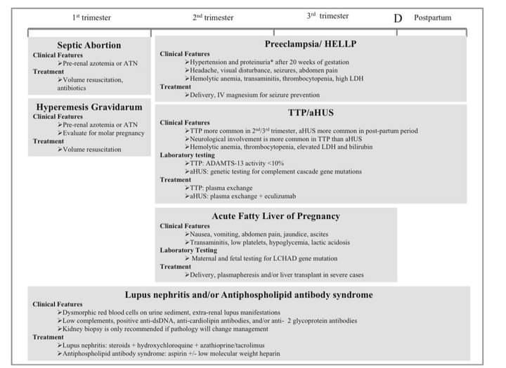 LeslieMegom's tweet photo. Lesión renal aguda durante el embarazo
👇👇👇👇🤰
https://t.co/Oni5A9UpBL
DOI: 10.1097 / MCC.0000000000000656 https://t.co/8vy46cjIzJ