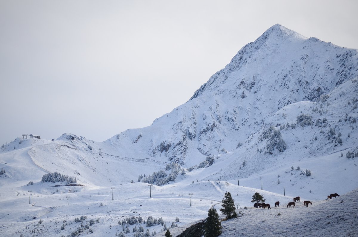 baqueira_beret's tweet photo. Primeras nieves de otoño, siempre un placer  ❄️

#EspirituBaqueira #BaqueiraBeret #Baqueira #Beret #Bonaigua #Baciver https://t.co/AhqEmvPF2C