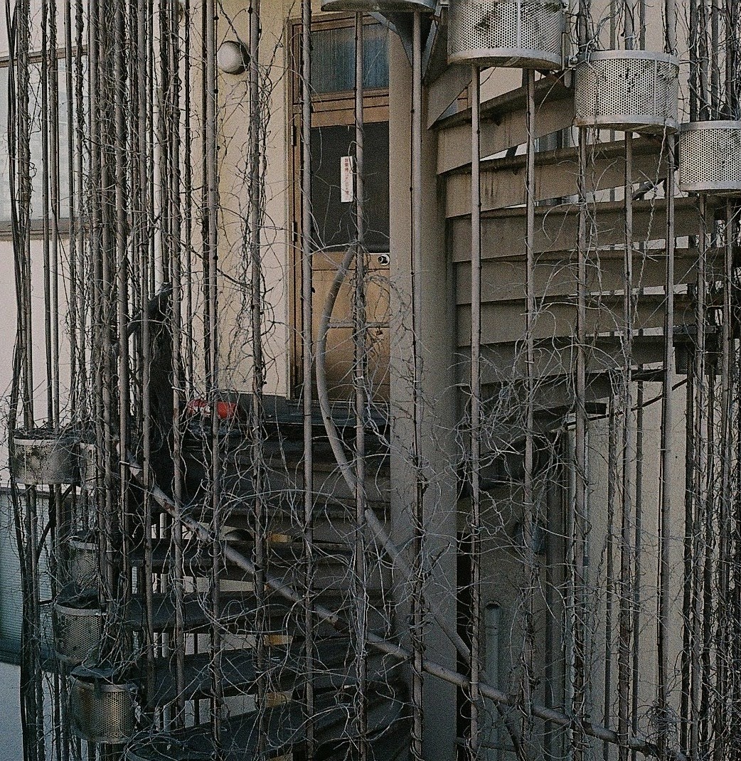 Grosses_Wasser's tweet image. 10月になって暑くなってきたけどそろそろ写真を撮る…はず
#photography #RobotStar #Xenar38mm  #SUPERIAXTRA400 #フィルムカメラ #フィルム写真 #ましかく写真