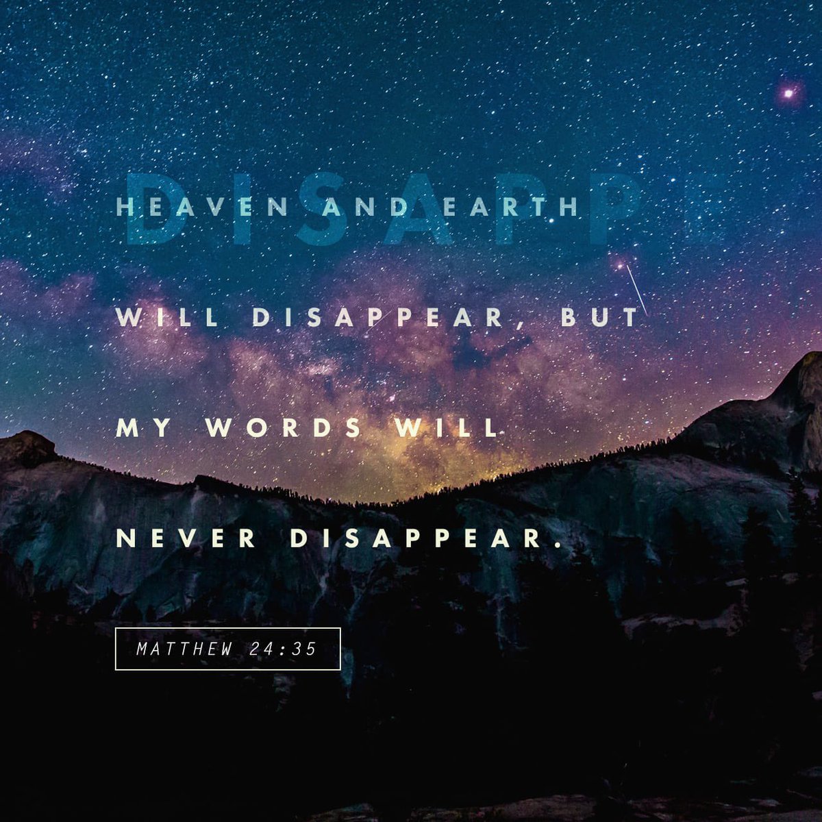bishop1strocks's tweet photo. https://t.co/IyY48Wk1S7 https://t.co/3Lzy9zsMSB