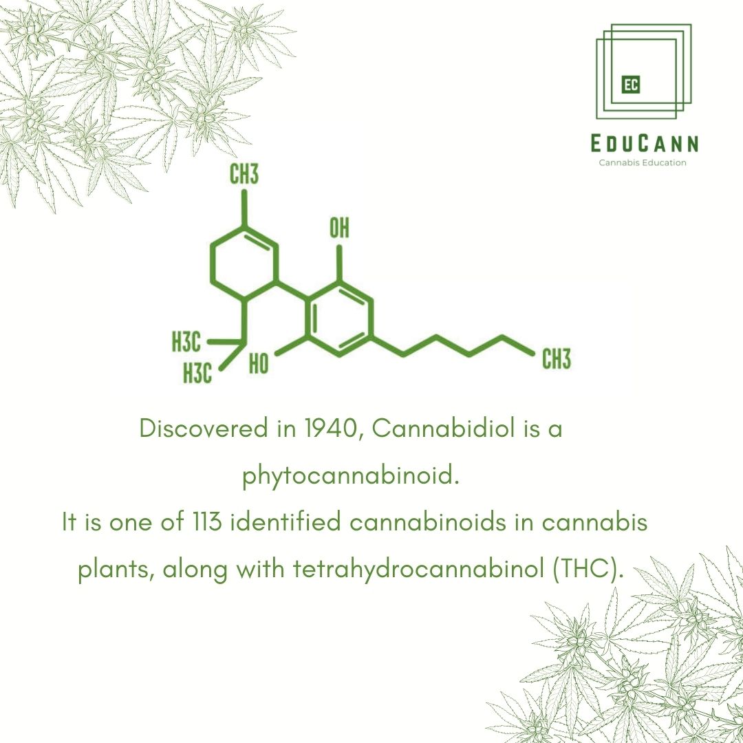 It has only been 4 years since cannabis was decriminalised in #SouthAfrica. Subsequently #cannabis still holds stereotypyical misconceptions that may hinder people (perhaps even you) from trying #CBDproducts. Click the link to learn educann.co.za/2019/08/05/wha…