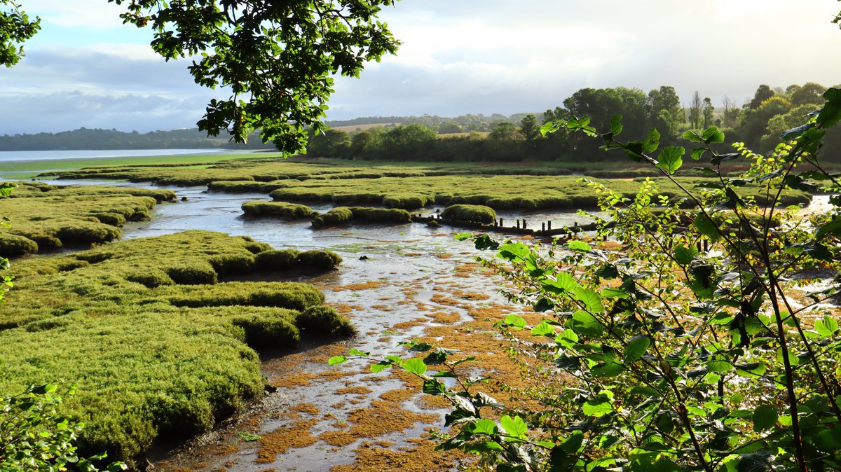 Westcountrywand's tweet photo. #WackerQuay on the #RiverLynher in #Cornwall https://t.co/WdDJP1HNX9