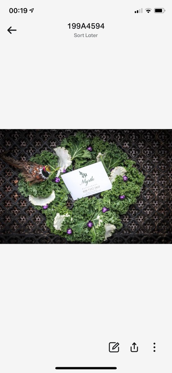 myrtle (@myrtlerest) on Twitter photo Christmas is coming
For bookings enquires info@myrtlerestaurant.com
#chelsea #irish #christmas #party Christmas is coming
For bookings enquires info@myrtlerestaurant.com
#chelsea #irish #christmas #party