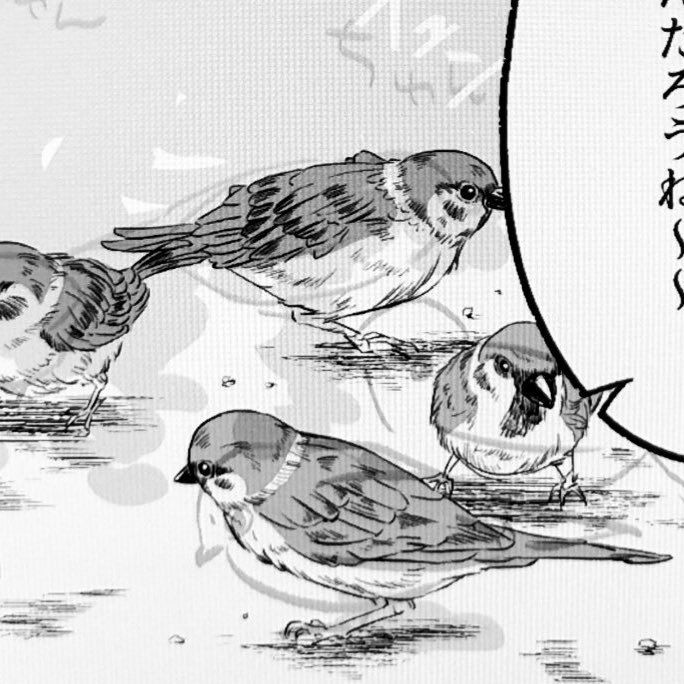 仁輪加奇譚2巻も頑張ってるので進捗アカに上げてたやつを置いておきます🐥 