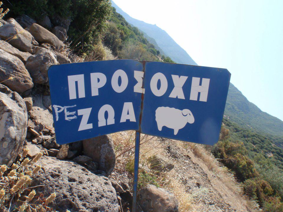 ₯ DenAntexWallo tweet media