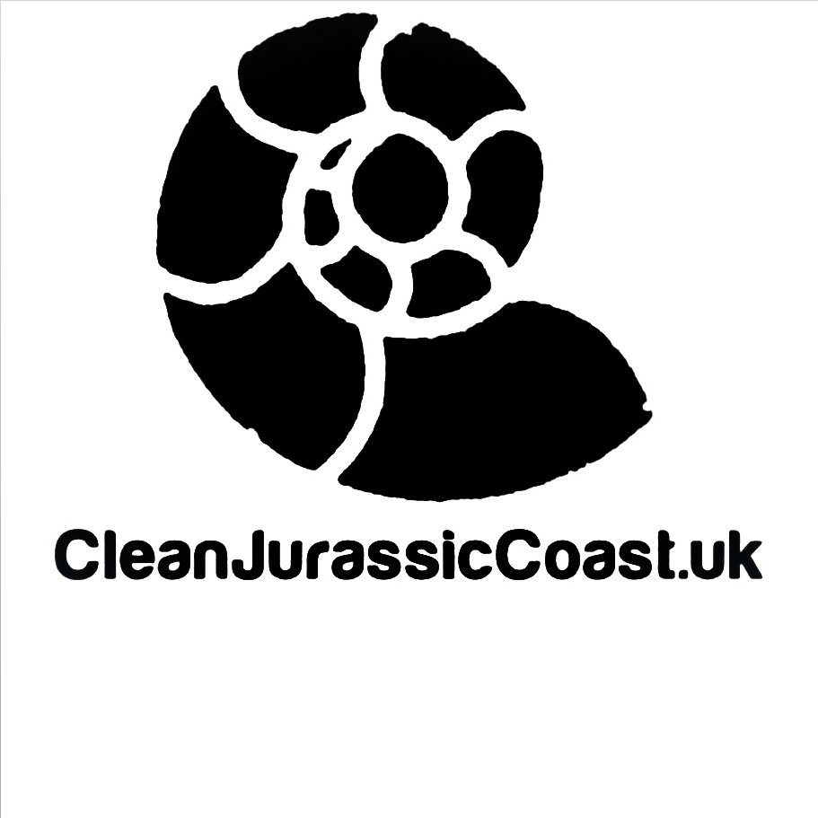 Clean Jurassic Coast tweet media