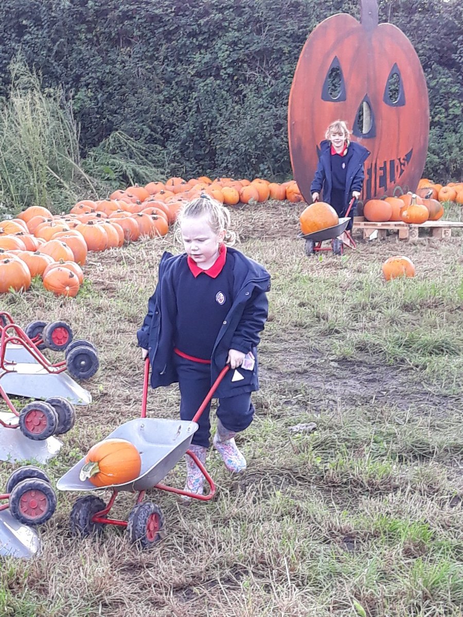 King's St Alban's tweet media