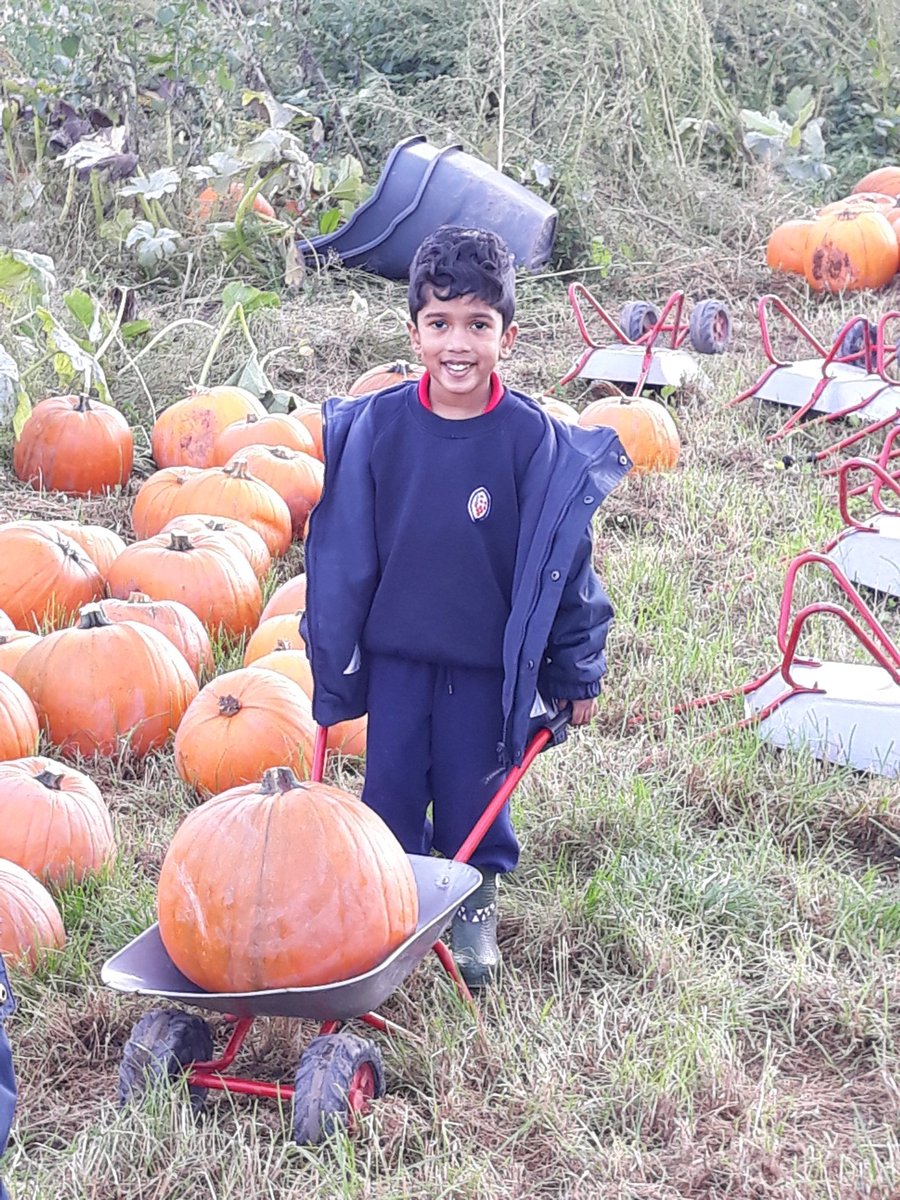 King's St Alban's tweet media