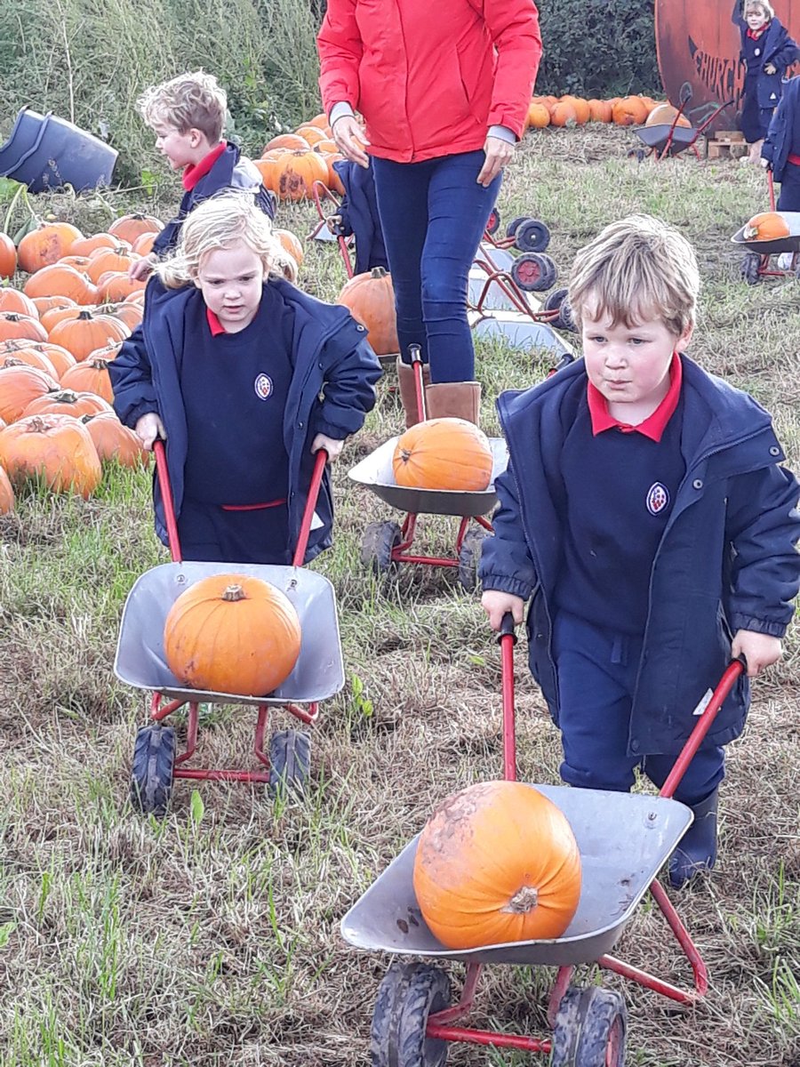 King's St Alban's tweet media