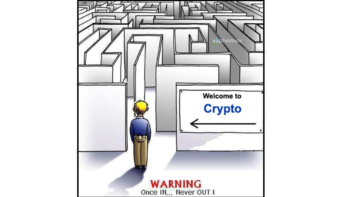 It’s quite addictive lol 😬 

#Phemex #Crypto #meme