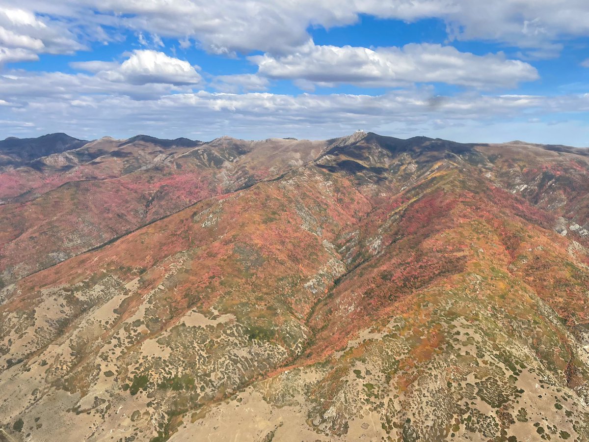 🛫Sean🛬 tweet media