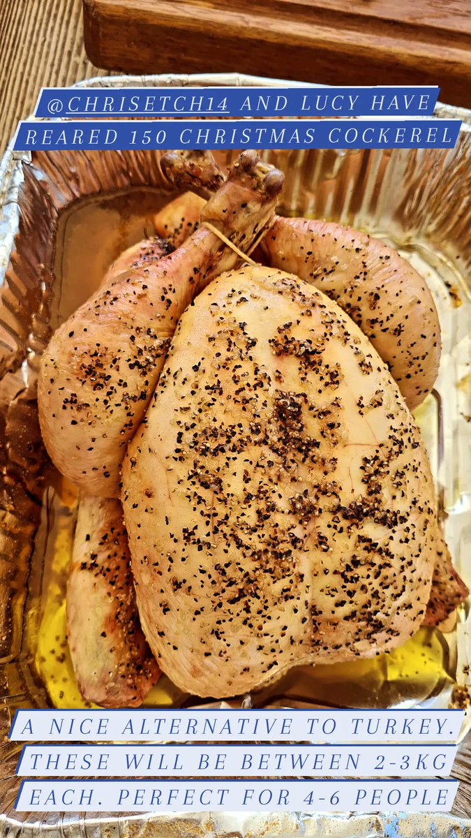 New Macdonalds Farm tweet media