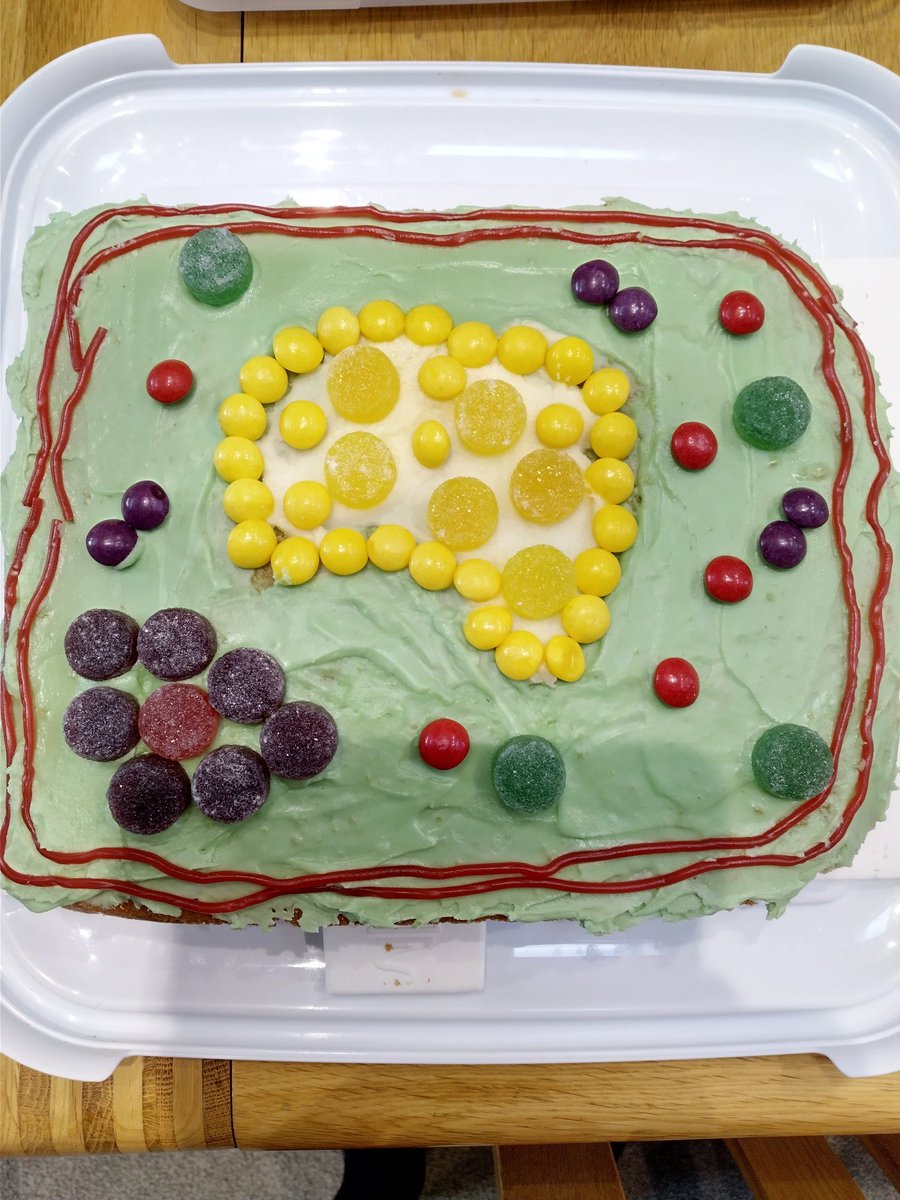 For Biology Week, Shell have been busy baking and selling their goods for charity. Great effort girls - all yummy and can't wait to see  what new treats we have at break tomorrow! <a href="/ToynbeeH/">Toynbee House</a>  <a href="/ArdinglyBiology/">Ardingly Biology</a>