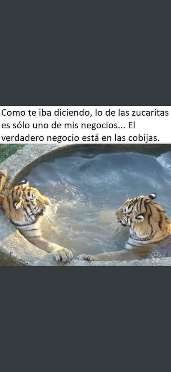 cesarcriollo's tweet photo. Jajajajajaj https://t.co/rjdusHVxWn