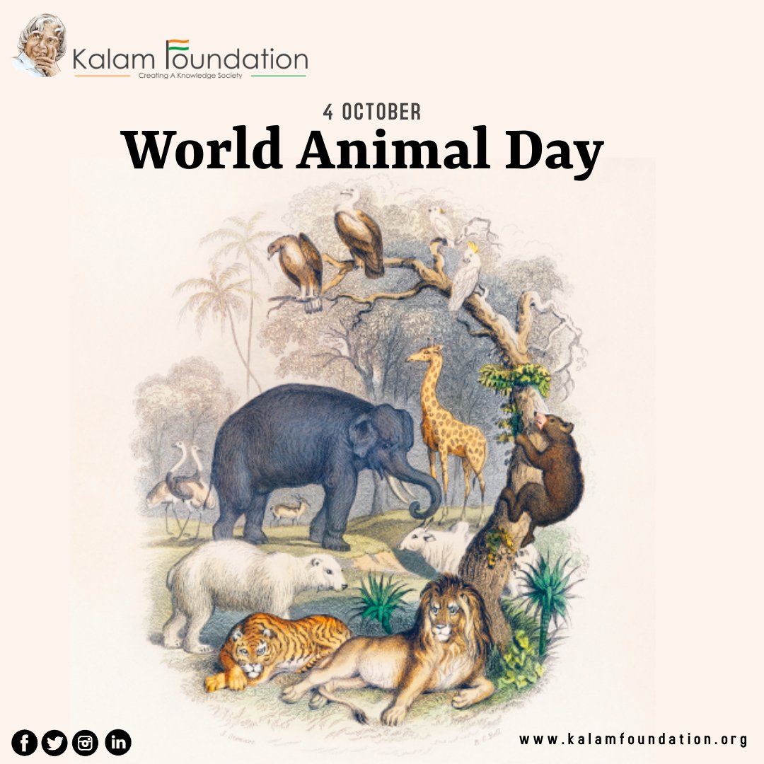 KRFOfficial's tweet photo. Happy World Animal day.
Earth is not reserved only for humans, wildlife is an important part of it.
Let's put an end to humane actions and nurture the nature with our wildlife https://t.co/2AC3tIyj0U