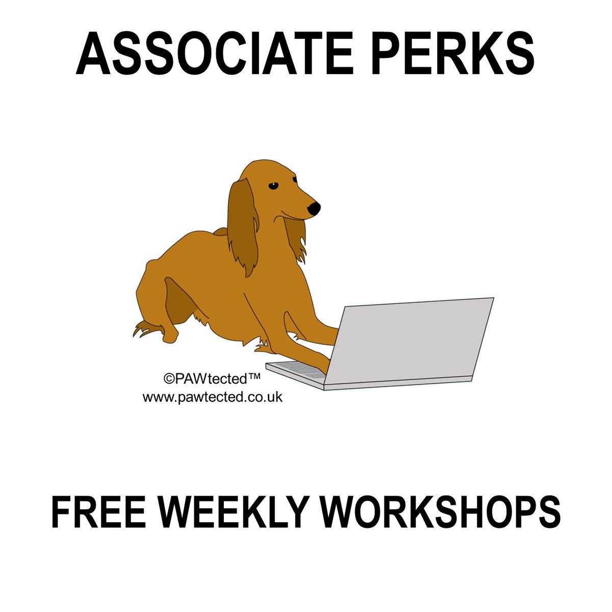 PAWtected tweet media