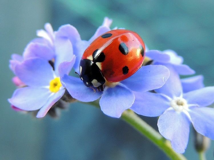JeanetteEliz's tweet photo. It’s a brand new week, Happy Monday Everyone. 😊 I hope all of you have a wonderful day. Have a beautiful week ahead. 💞🌺💕 #NaturePhotography #nature https://t.co/XQWgSGPcLj