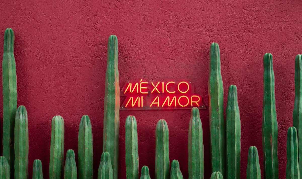 🇲🇽 We're expanding business operations in Mexico! 
Due to a growing demand for our custom digital products, and with clients as <a href="/DESCIFRA/">DESCIFRA</a> and Rabbit, we've decided to broaden our near-shoring services into #LATAM.

¡Gracias amigos!

#Innovation #GoBigOrGoHome